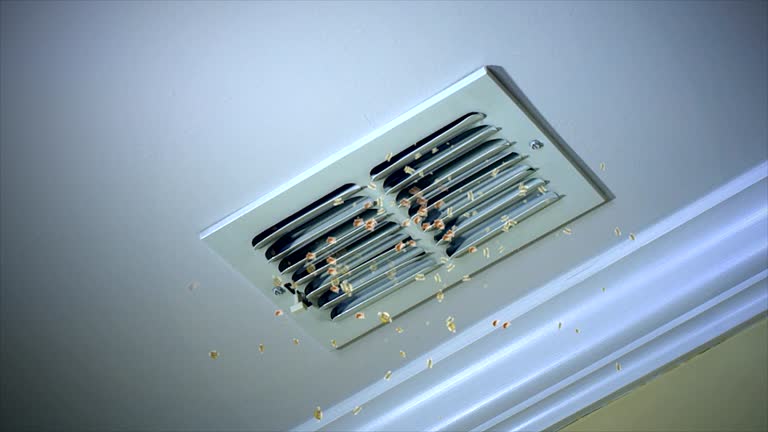Best Ductwork Cleaning Services  in Soh Ogden, UT
