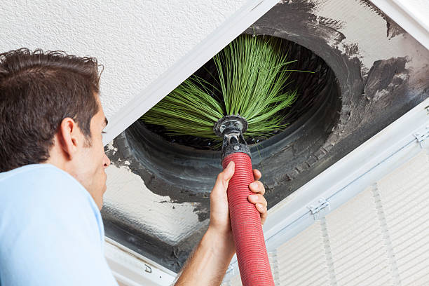 Best Emergency Air Duct Cleaning  in Soh Ogden, UT